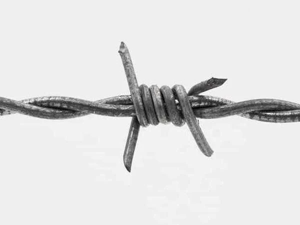 double strand reverse twist barbed wire