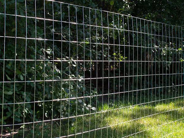 welded wire mesh roll garden fence1