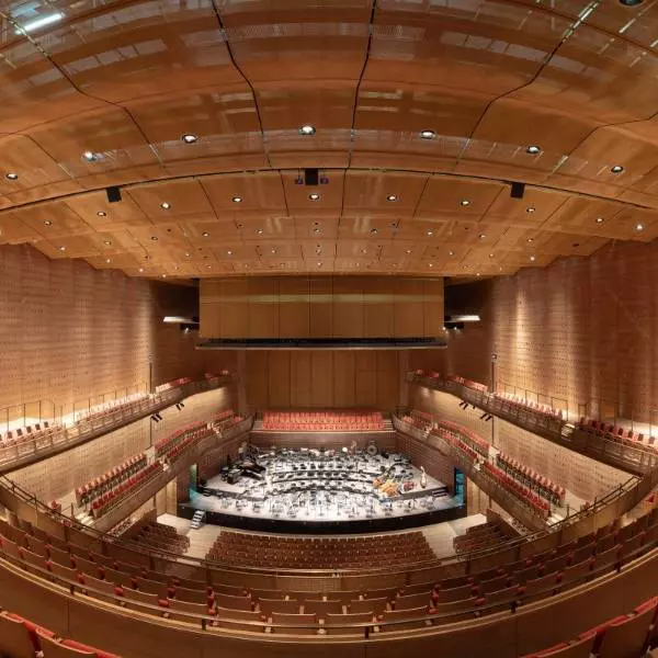 decorative mesh concert hall wall covering
